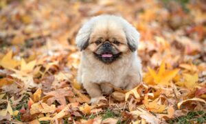 セラミドの効果でニキビを改善する方法は？