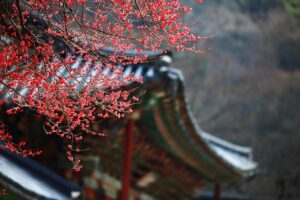 韓国コスメで皮脂詰まりを解消する方法は？