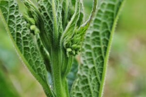 しつこいニキビに効果的なスキンケア方法は？