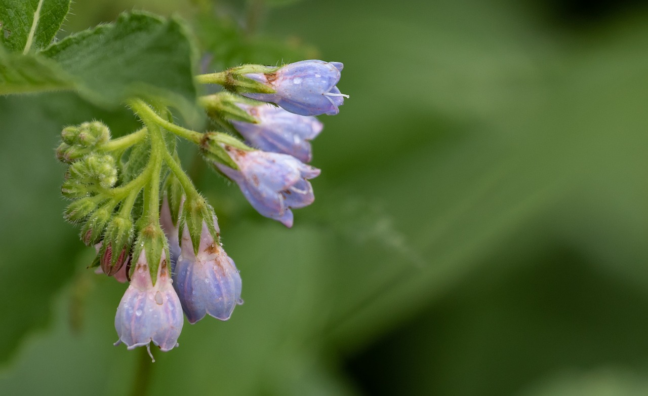 しつこいニキビに効果的な韓国クリームはどれですか？