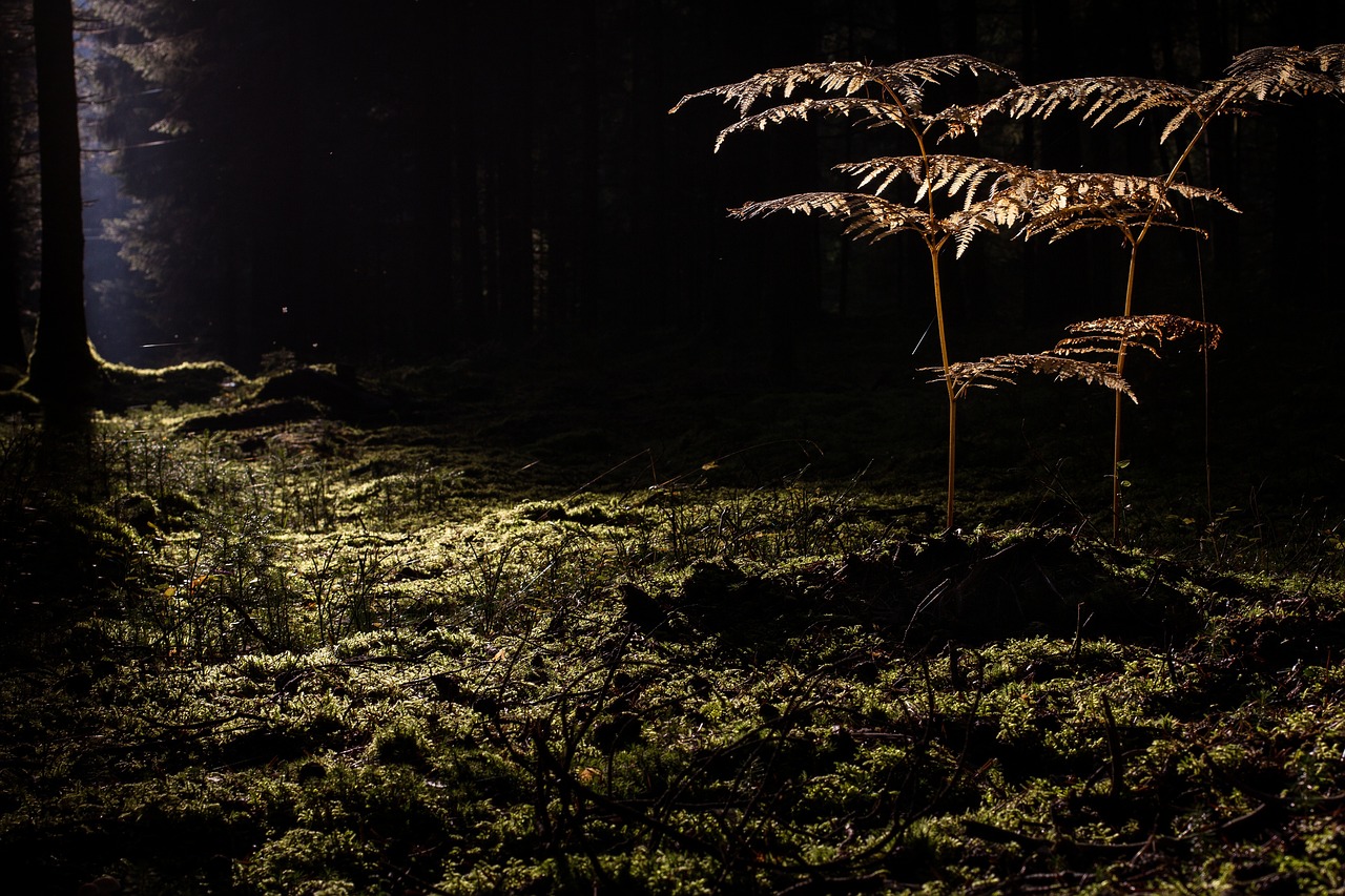 毛穴詰まりを解消するための韓国スキンケア対策は？