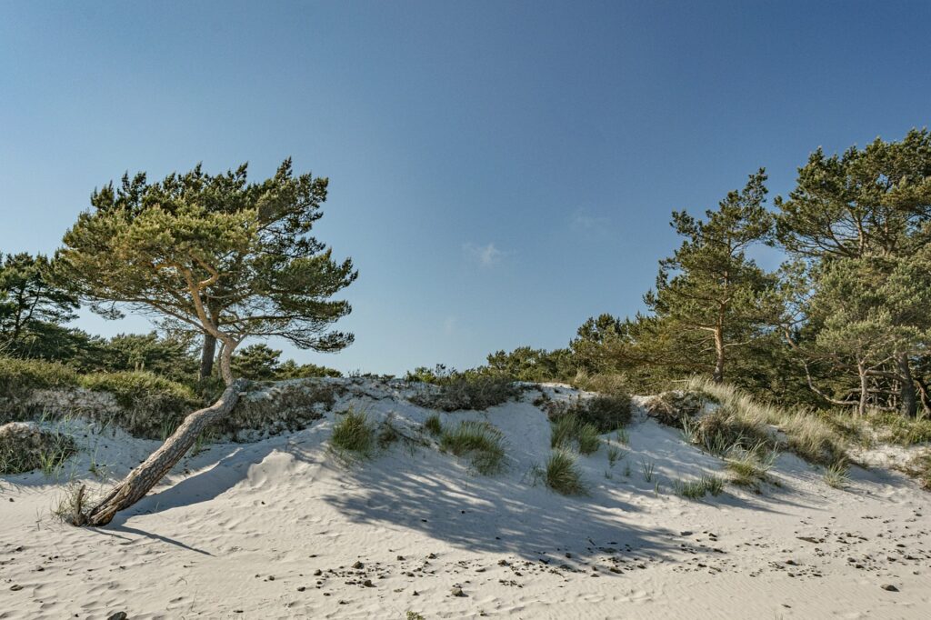 Kコスメのヒアルロン酸ジェル洗顔で肌荒れがしたらどうすればいい？