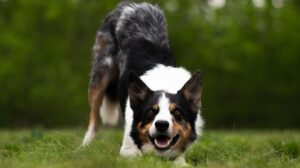 ニキビ跡の凹凸にスクワラン美容液を併用するのはNG？