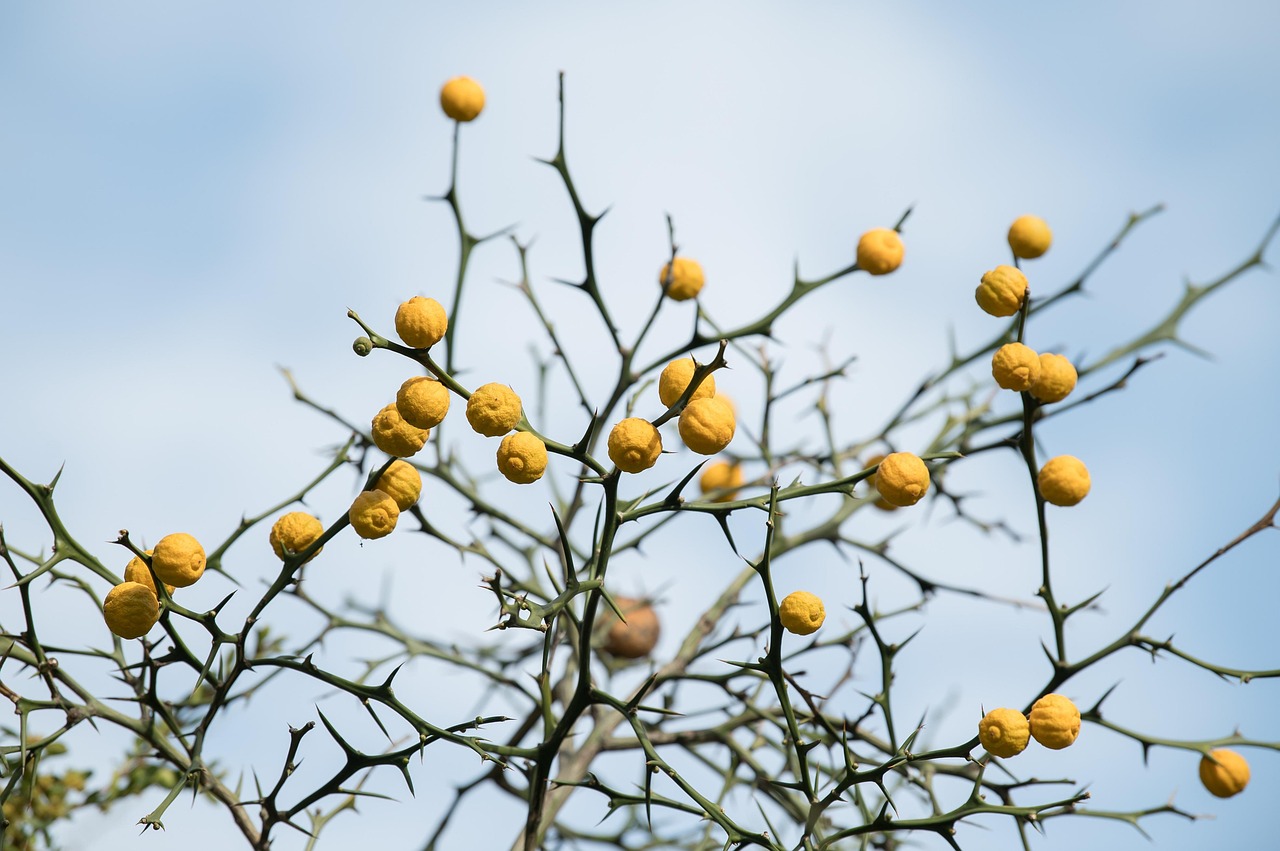 テカリとニキビの乾燥対策をしながら皮脂を減らす方法は？