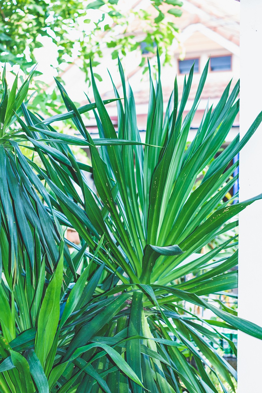 口周りのニキビにPHAピーリングジェルを併用するのはNGなのか？