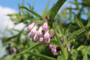 口周りのニキビを乾燥対策しながら皮脂を減らす方法は？