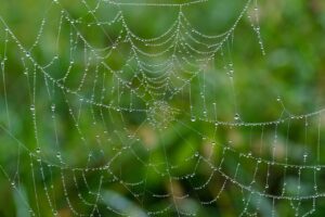 韓国薬局でトラネキサム酸美容液を使ったら皮むけはどうなる？
